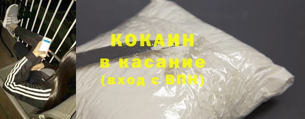 мет Ельня