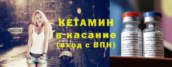 мет Ельня