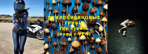 спиды Елабуга