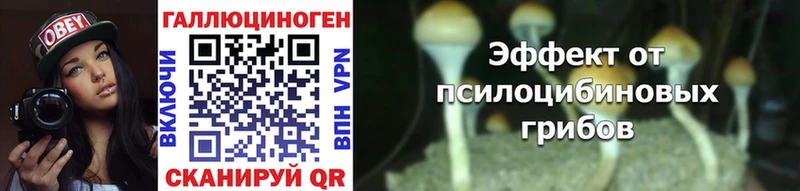Псилоцибиновые грибы MAGIC MUSHROOMS  Купить закладки  Мегион 